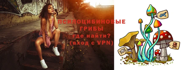 ГАЛЛЮЦИНОГЕННЫЕ ГРИБЫ Абинск