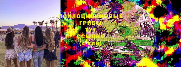 ГАЛЛЮЦИНОГЕННЫЕ ГРИБЫ Абинск
