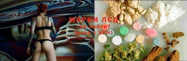 ГАЛЛЮЦИНОГЕННЫЕ ГРИБЫ Абинск
